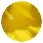 yellow round