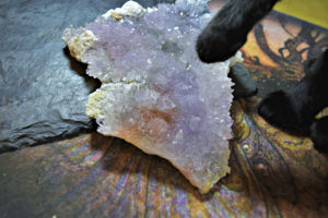 Morrighan paw over crystal