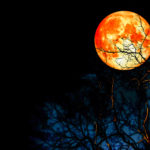 January Lunar Trifecta! Super Moon, Blue Moon, Blood Moon