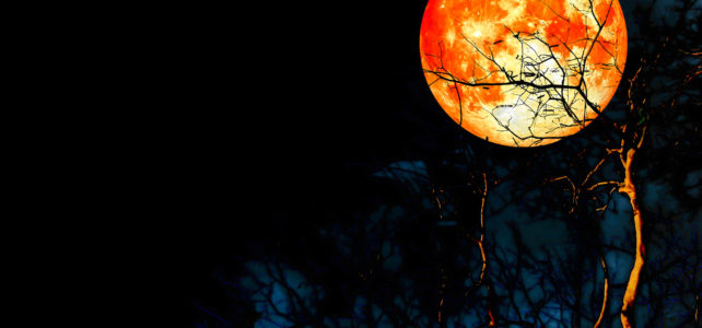 January Lunar Trifecta! Super Moon, Blue Moon, Blood Moon