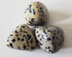 Dalmatian Stone