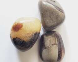 Septarian
